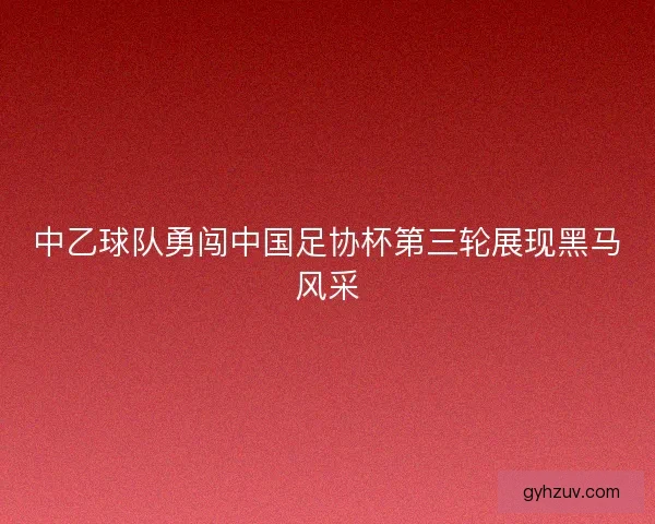 中乙球队勇闯中国足协杯第三轮展现黑马风采